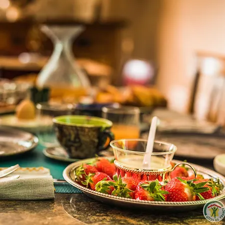 Bed & Breakfast Le Nid Du Coucou Cocumont