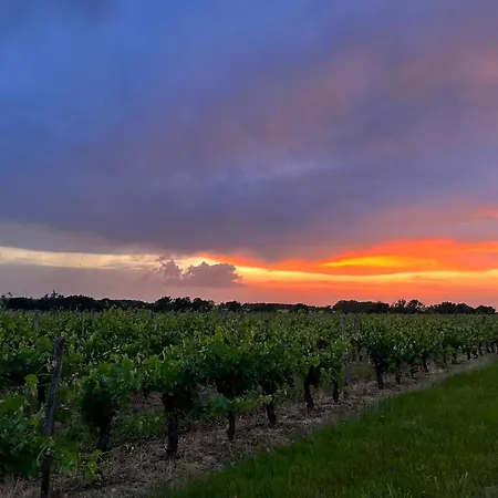 Le Nid Du Coucou Bed & Breakfast