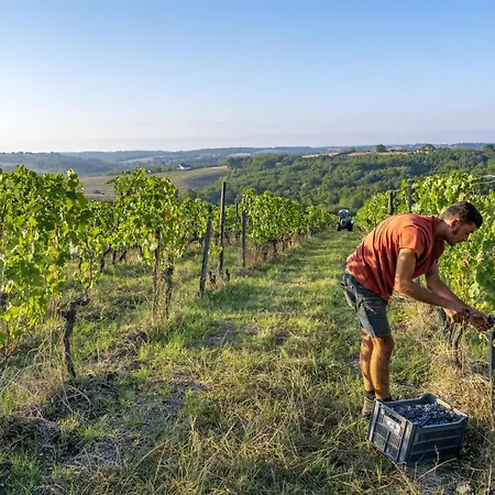 住宿加早餐酒店 Le Nid Du Coucou 3*