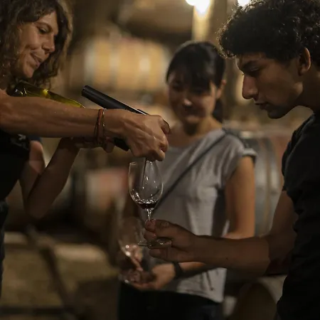 Le Nid Du Coucou Bed & Breakfast Cocumont