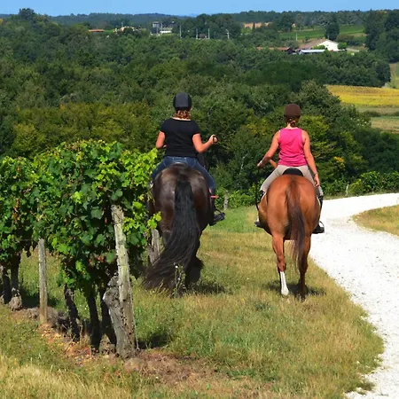 Le Nid Du Coucou 3* Cocumont