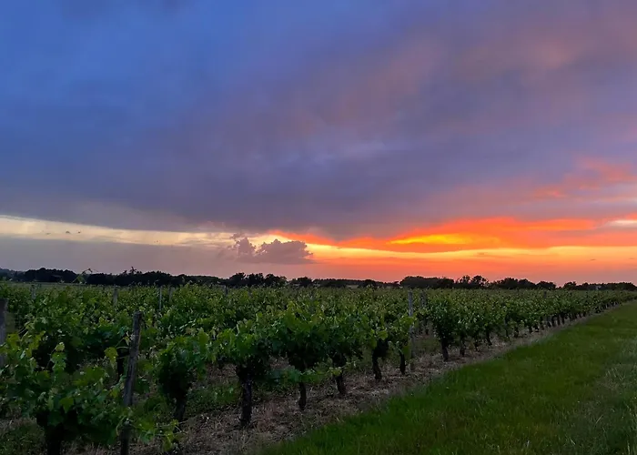 Le Nid Du Coucou فندق مبيت وإفطار