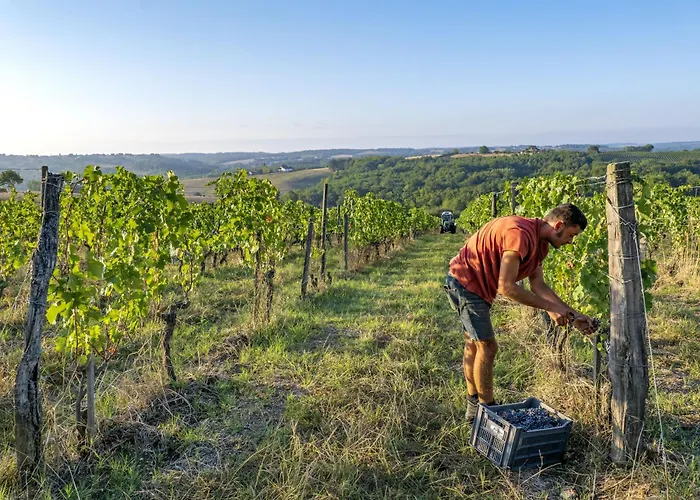 فندق مبيت وإفطار Le Nid Du Coucou 3*