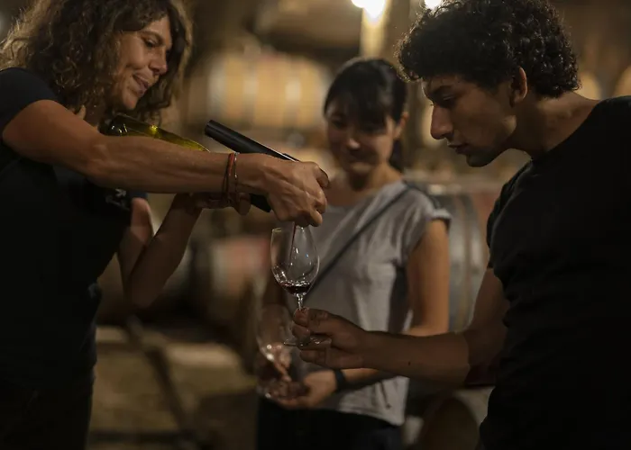 Le Nid Du Coucou فندق مبيت وإفطار Cocumont