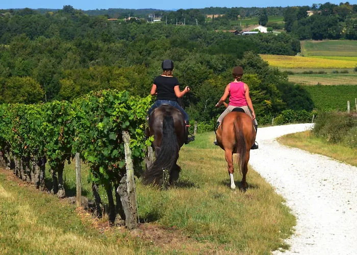 Le Nid Du Coucou 3* Cocumont