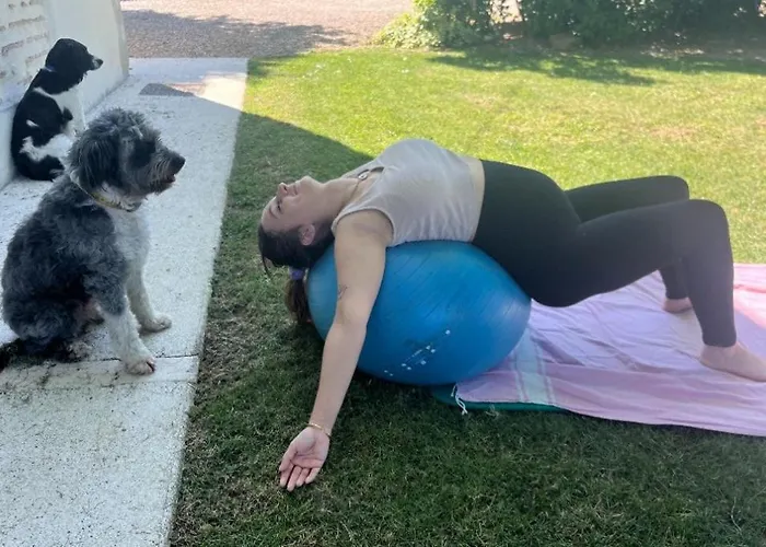 Le Nid Du Coucou فندق مبيت وإفطار Cocumont